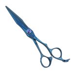 Professional Titanium Blue Hair Cutting Scissors